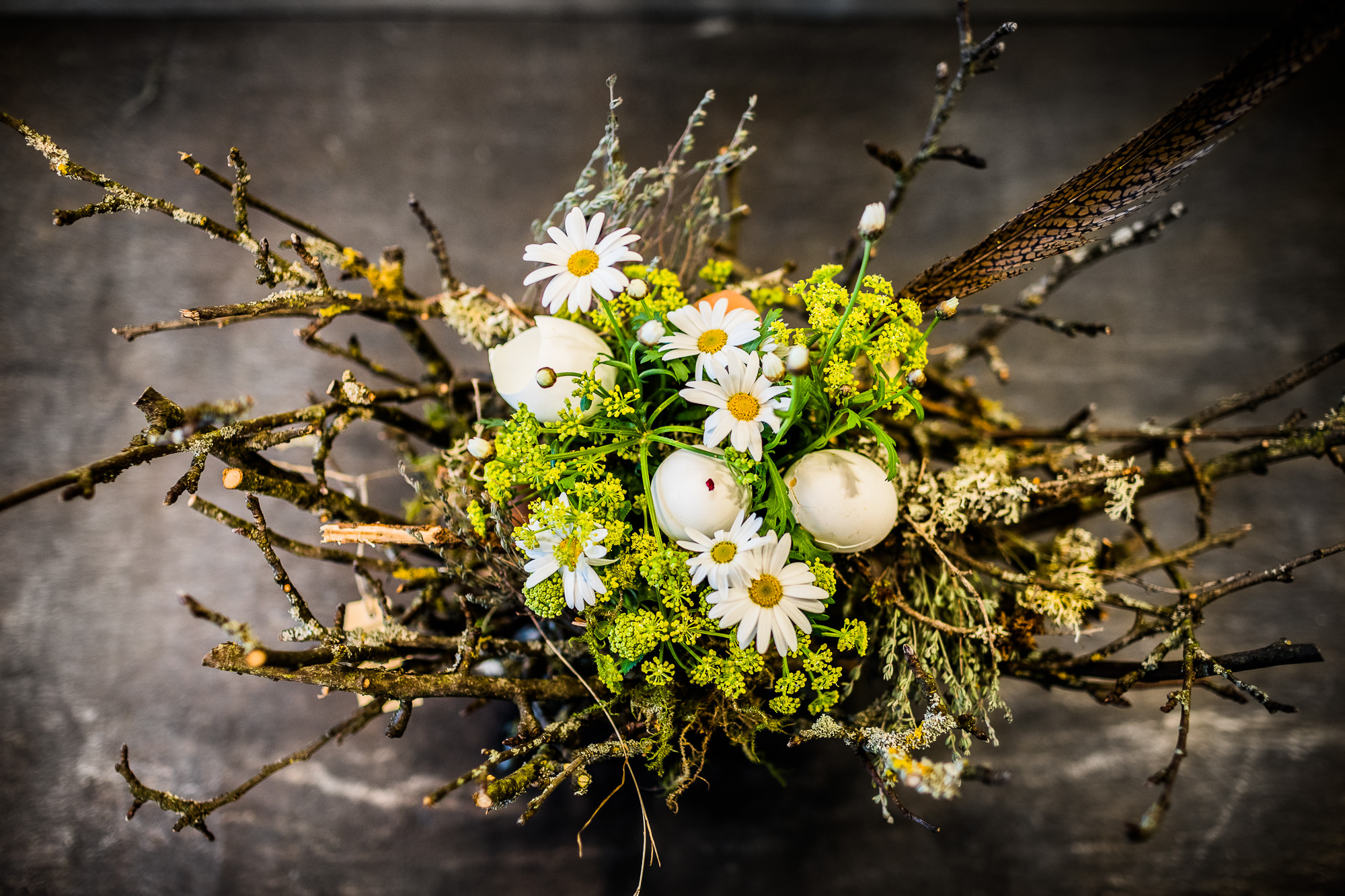 Export x3 5D4 9269 Businessauftrag 2017 Blattform Aarau